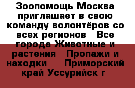 Зоопомощь.Москва приглашает в свою команду волонтёров со всех регионов - Все города Животные и растения » Пропажи и находки   . Приморский край,Уссурийск г.